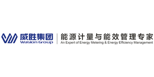 威胜集团有限公司
